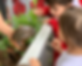 ARANDU-site-FOTOS-PRESCHOOL.png