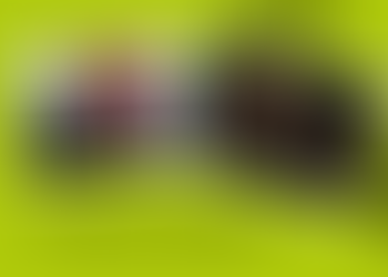 What Does a Professional MC Do at an Event?