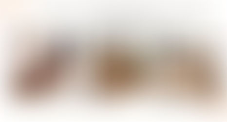 Transform Your Space with Rugs from the Best Manufacturers