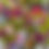 Thumbnail: Monthly  Friday flowers