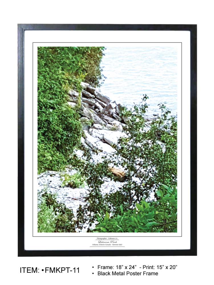 Thumbnail: Lake Rocky Path