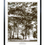 Thumbnail: Lynde Shores Beautiful Trees Scenery Vintage