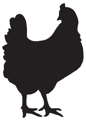 chicken.gif