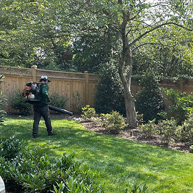 grass-blowing_edited.jpg