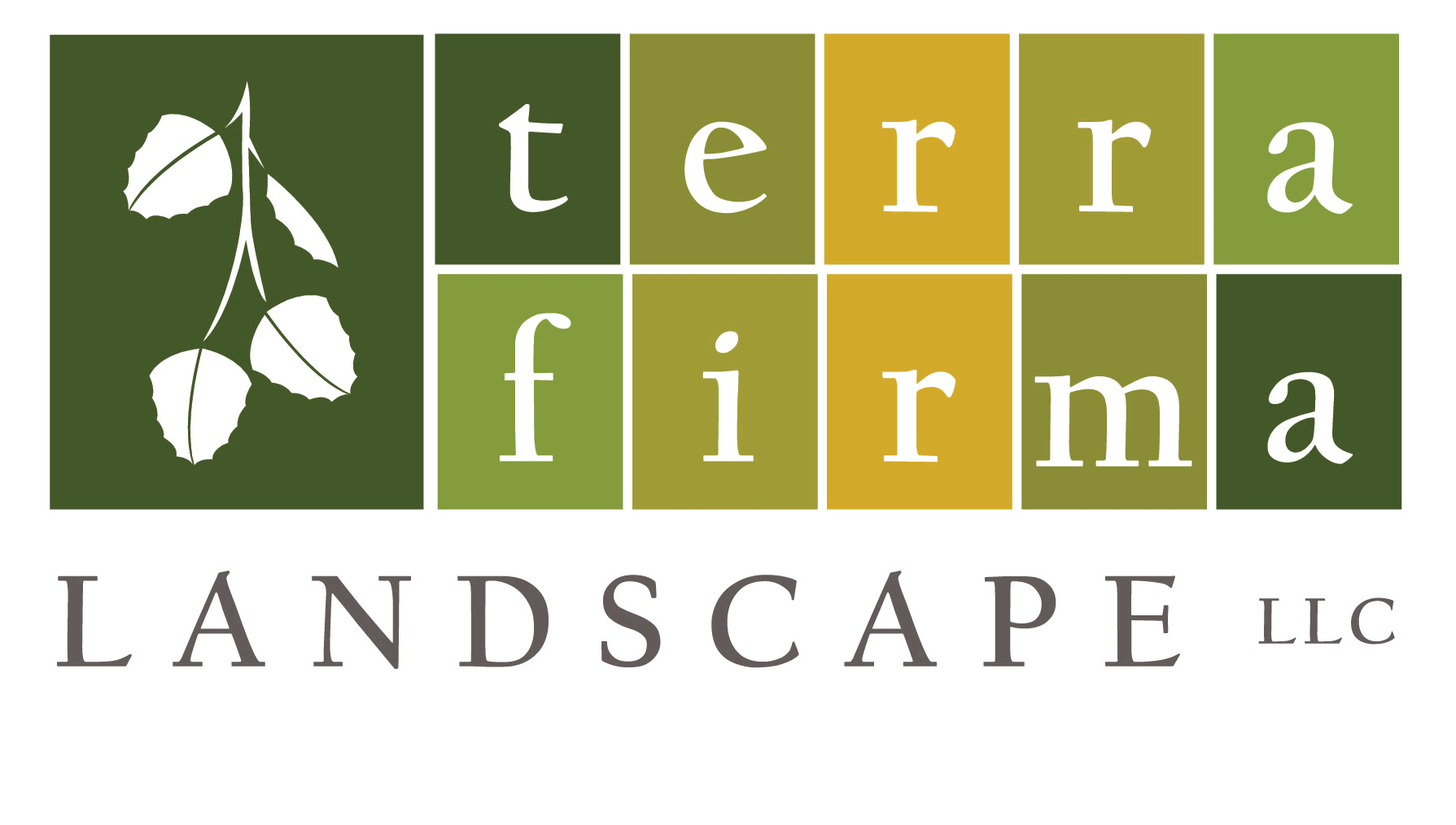 Terra Firma Landscape The Landscape Professionals