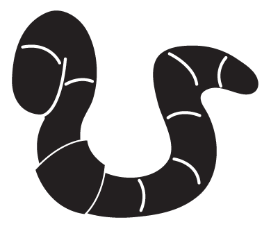 worm1.gif