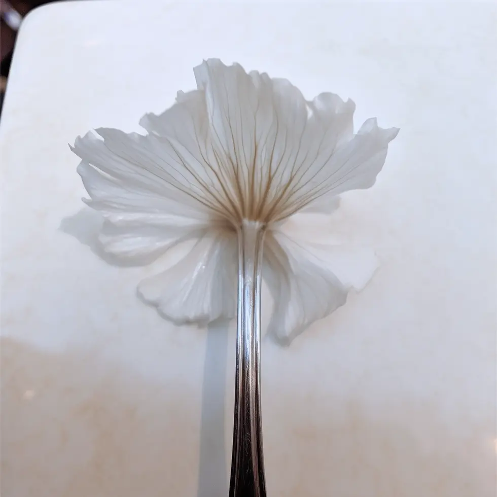 Starting point: a fork