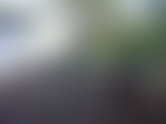 CTP Ricardo Castro Beer de Orotina inicia sueño de integrar a la comunidad