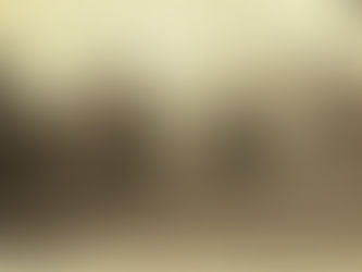 Quinta Entrega PRIMO VARGAS VALVERDE: BENEFACTOR DE LA CIUDAD DE OROTINA