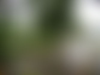 Municipalidad corre para restablecer acueducto de Orotina