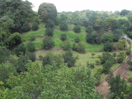 Finca Ecológica en Mastate de Orotina