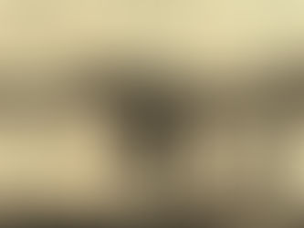 Cuarta Entrega PRIMO VARGAS VALVERDE: BENEFACTOR DE LA CIUDAD DE OROTINA