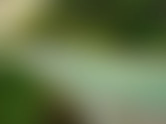 Poema - Más yo que nada