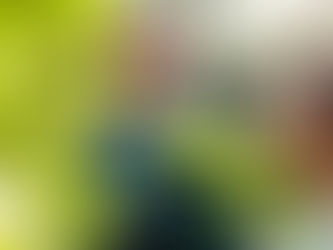 Planning a Garden-Themed Elopement in Dallas