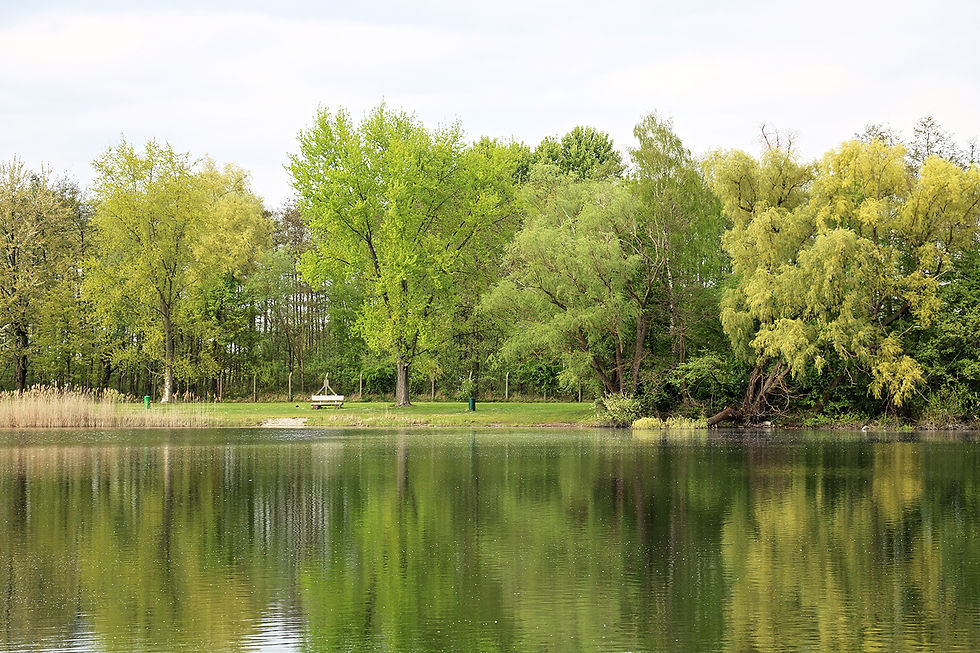 Campingplatz am Baggersee Schuttern