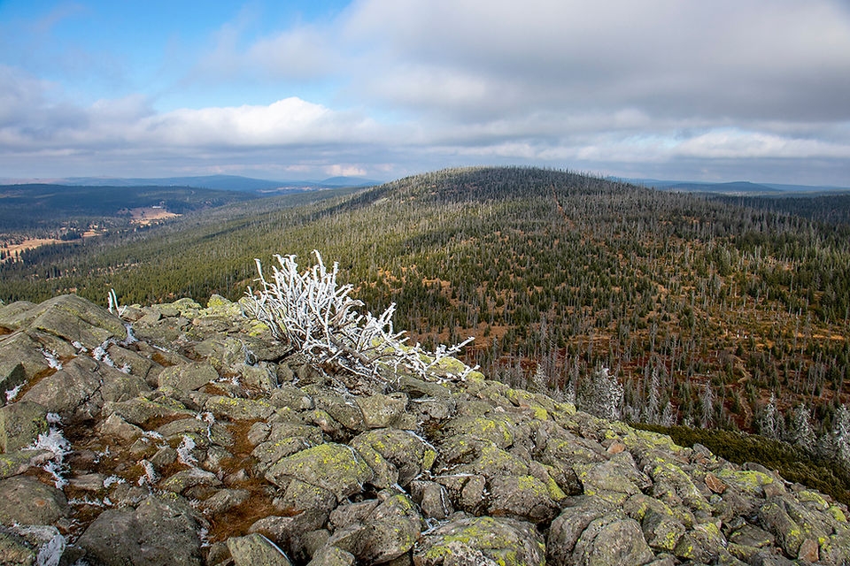 Blick vom Lusen