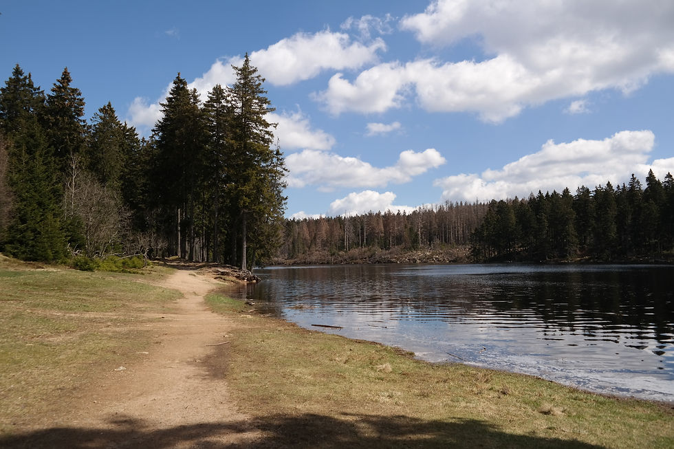 Oderteich, Nationalpark Harz