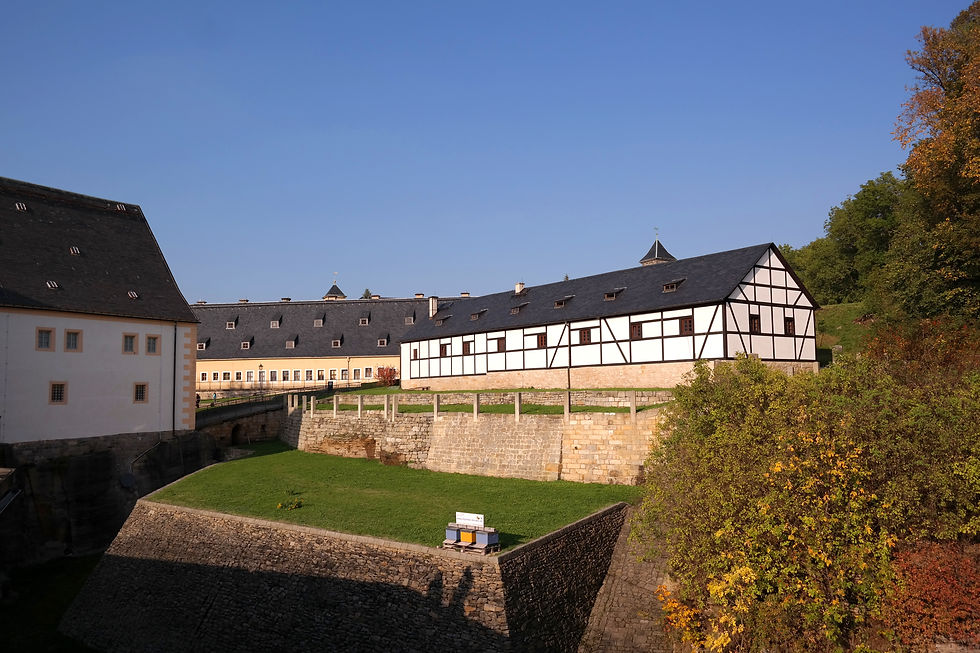 Festung Königstein