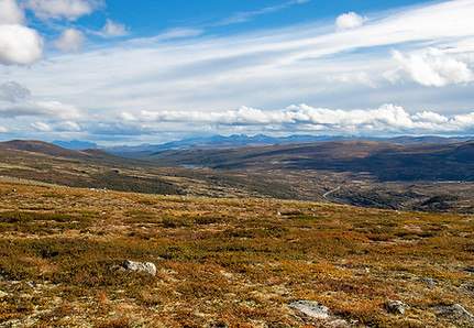 Moskusstien Dovrefjell