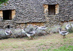 Cabanes du Breuil