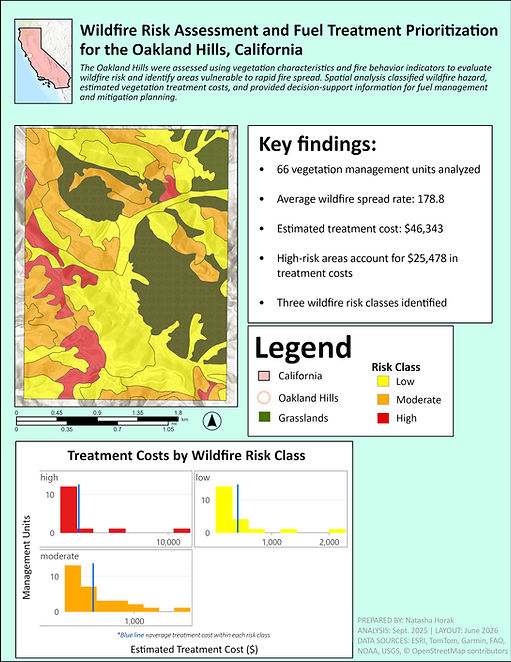 Wildfire Risk Assessment and Fuel Treatment Prioritization .jpg