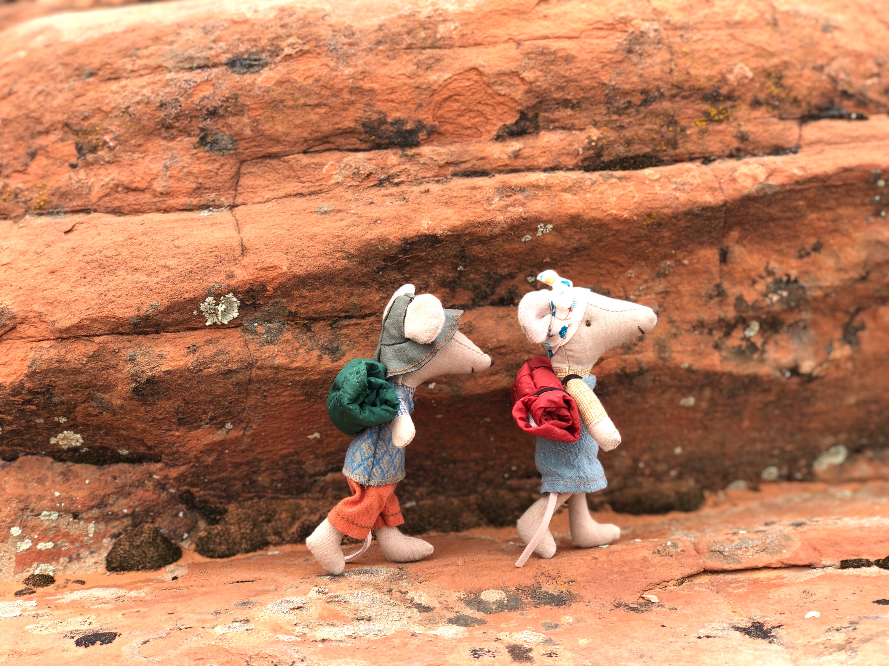 Maileg Mice Camping in Utah – photo 3