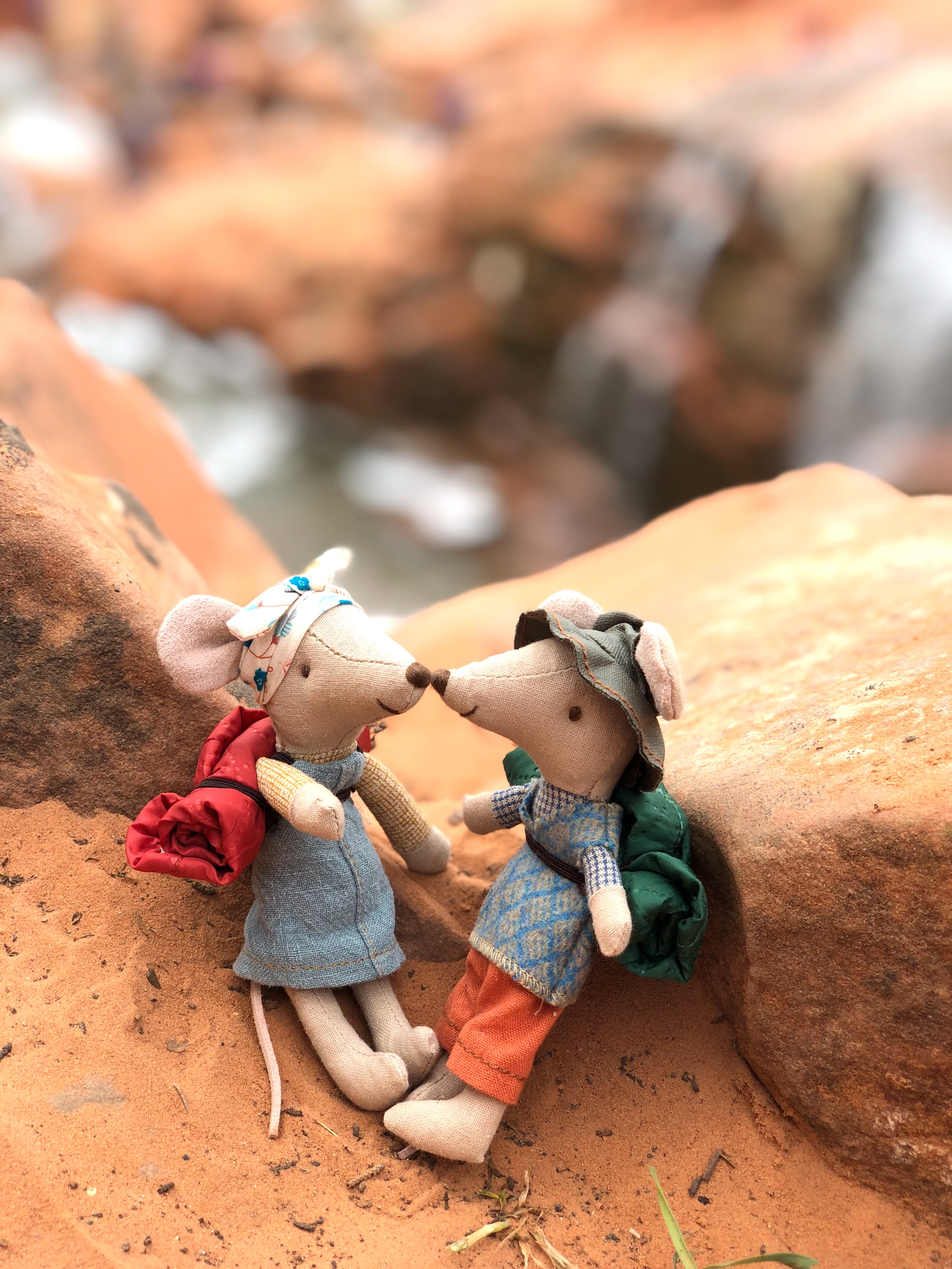 Maileg Mice Camping in Utah – photo 2