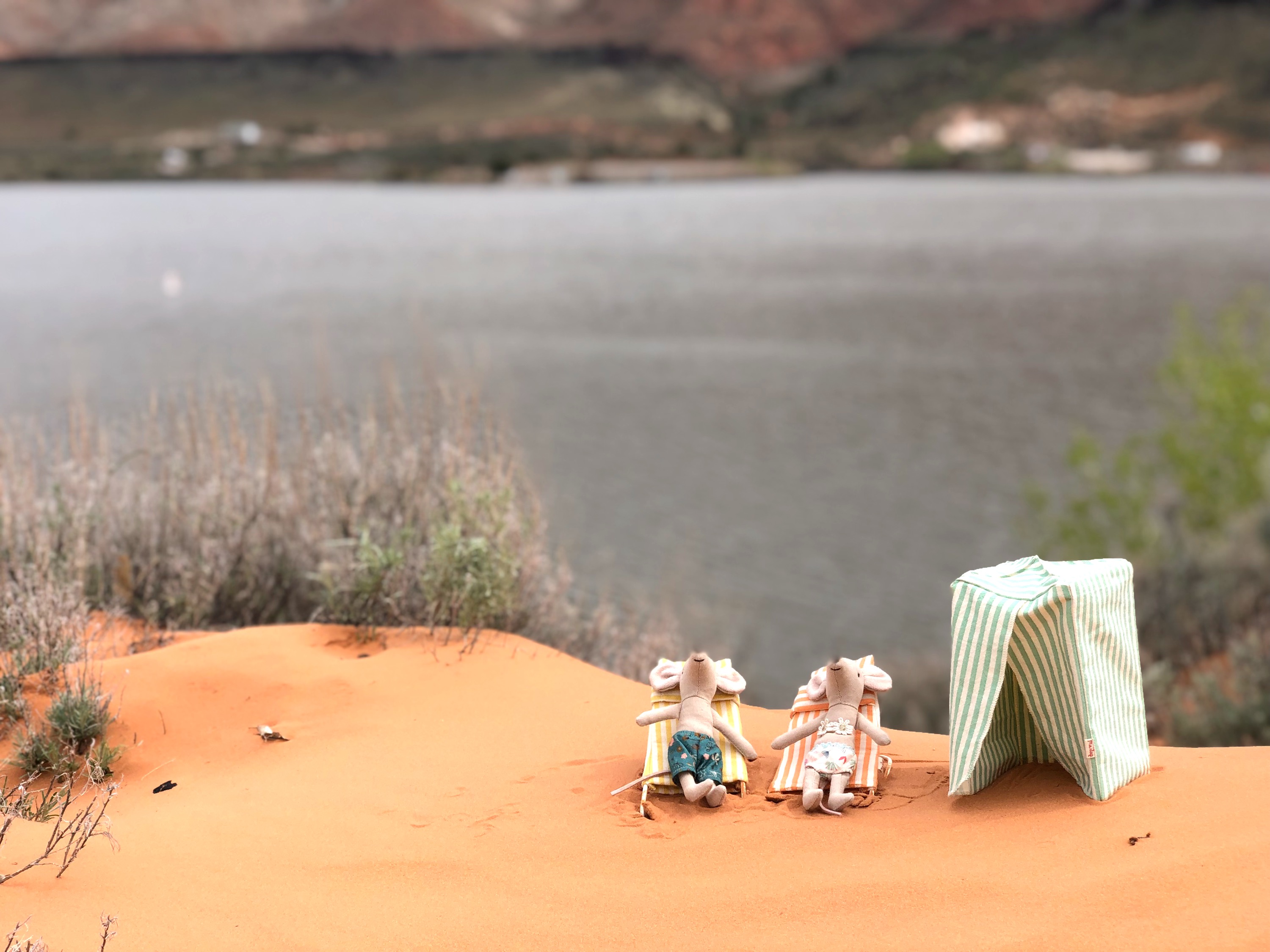 Maileg Mice Camping in Utah – photo 7