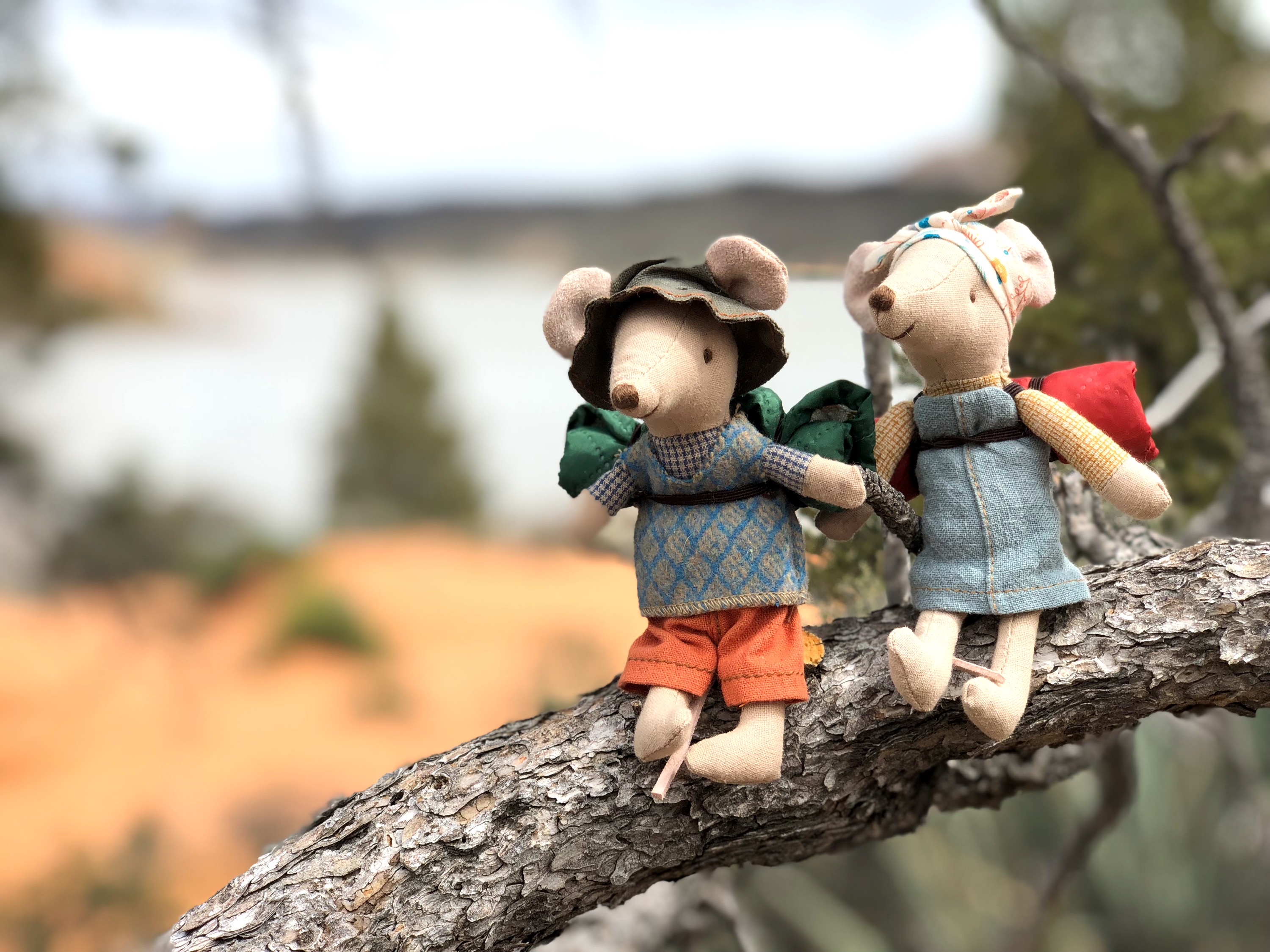 Maileg Mice Camping in Utah – photo 4