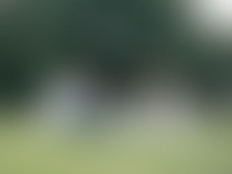  Ninth Edition | A Preventative Approach: Mental Health is the Next Pandemic 