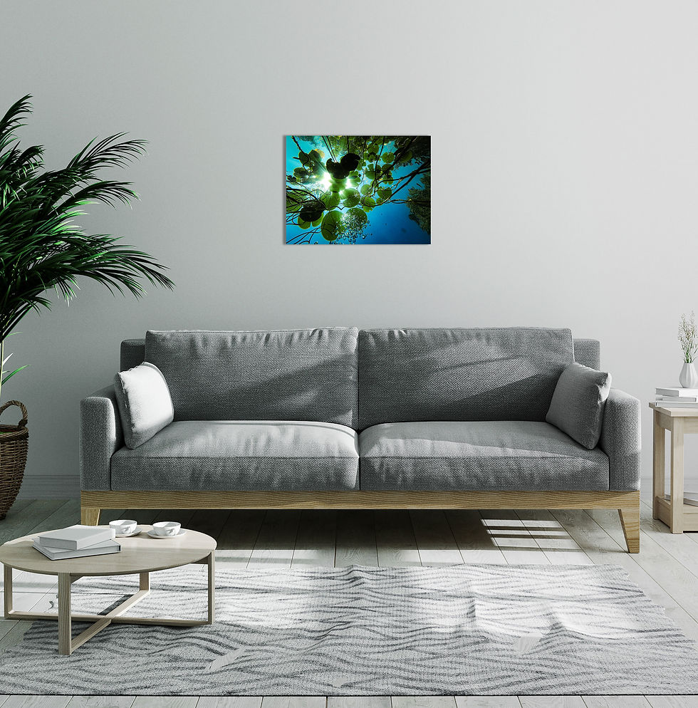 Thumbnail: Janet's Lilies