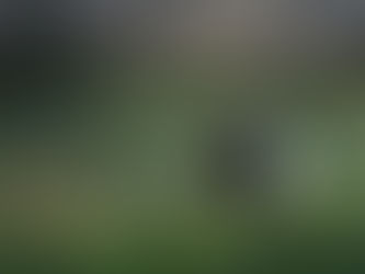 man fly fishing in summer