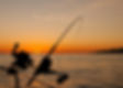 a fishing rod in silhouette