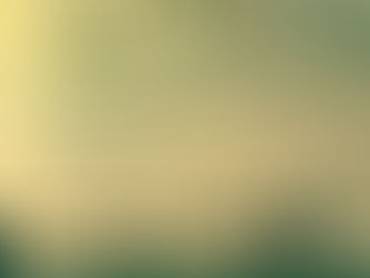 man standing next to fence by lake at sunset