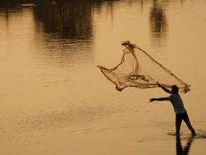 casting net