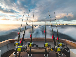 Fishing rods
