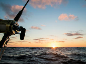 Sea fishing road