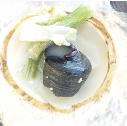Mangrove snail in coconut broth