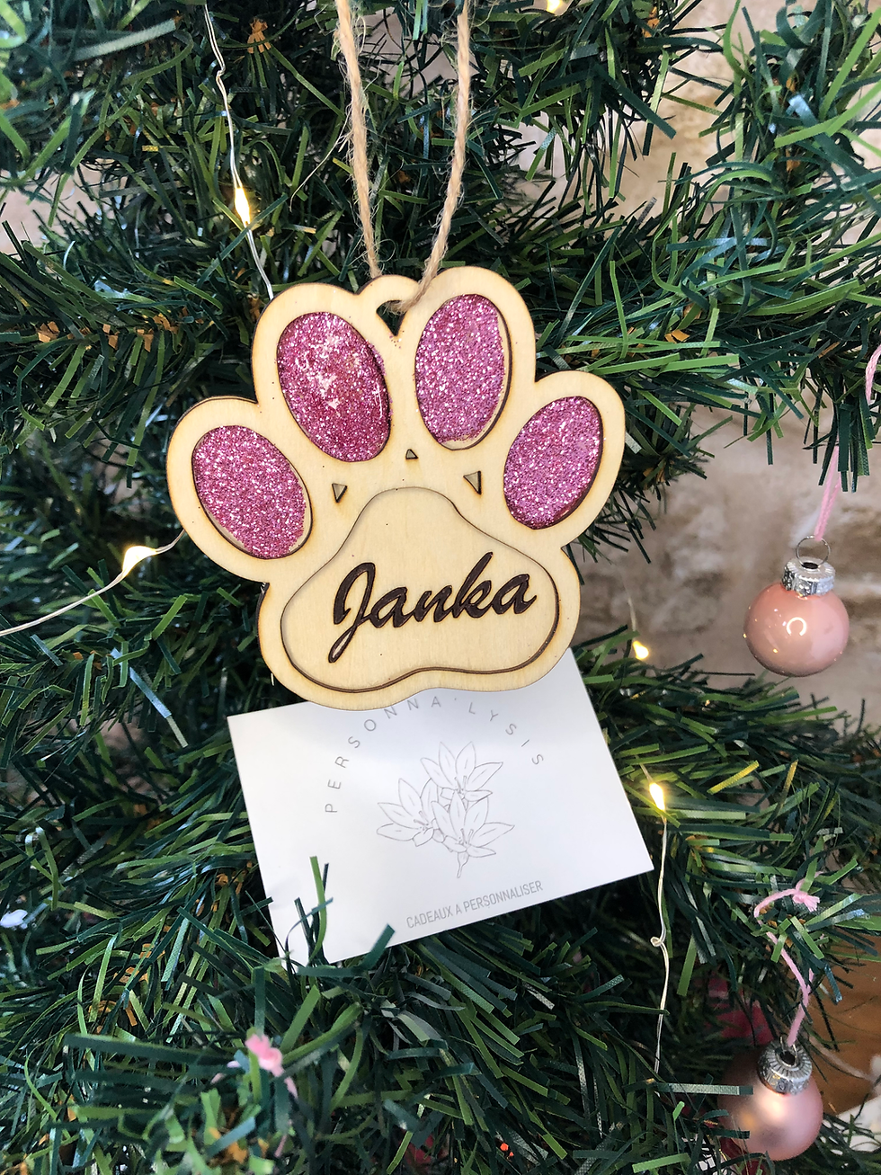 Miniature : Boule de Noël pattoune 🐾
