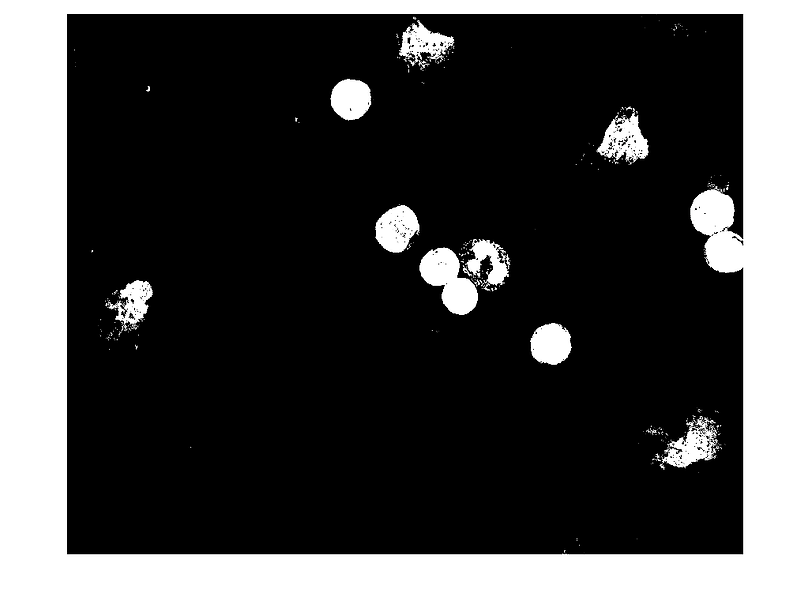 catch_tilted_cells_06.png