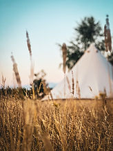 Into the Wild Glamping bell tent, Market Rasen