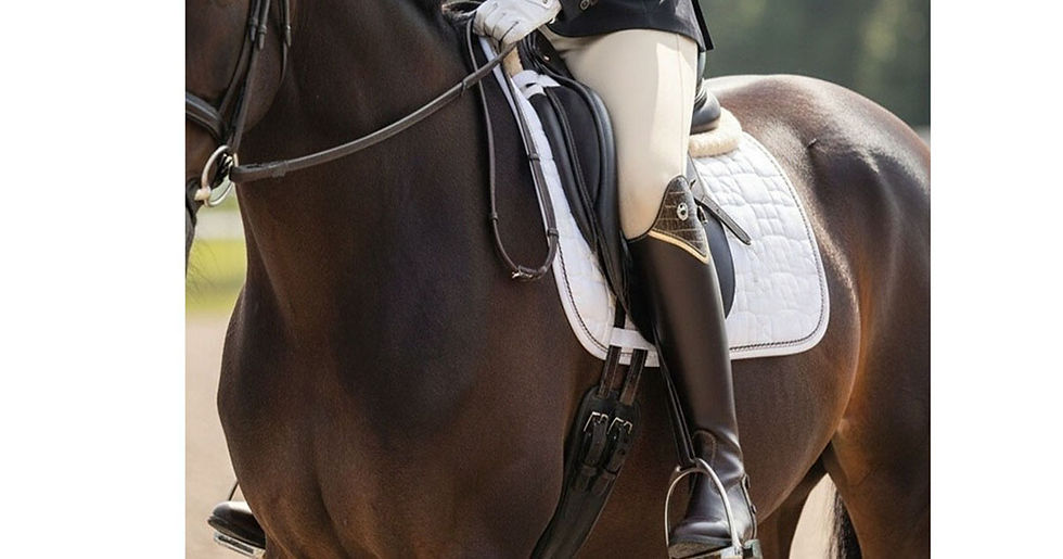 Equestrian style 603 Brown