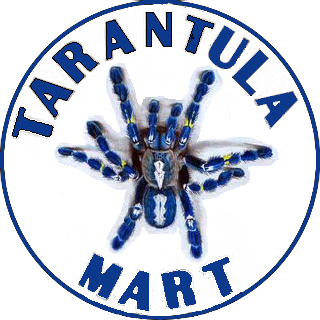 new logo1 nice - Copy.png