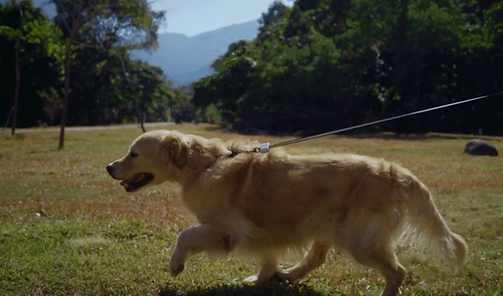 Screen Shot 2025-04-28 at 1.09.26 PM.png