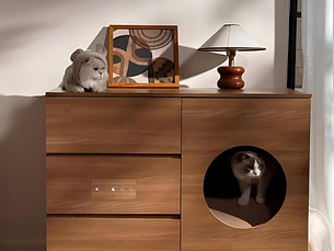 Screenshot 2025-06-26 153016.jpg