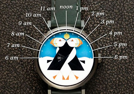 Screenshot 2025-08-04 160116.jpg