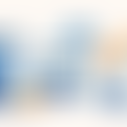 netsuite banka entegrasyonu