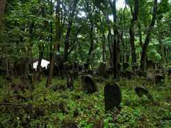Cemetary, Warsaw, 2017