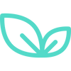 leaf (2).png
