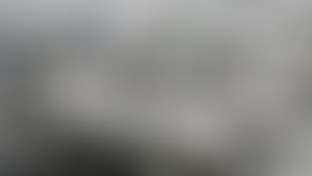 BUSTOS, LA COVID19, LOS KAMIKAZES Y LA BOMBA